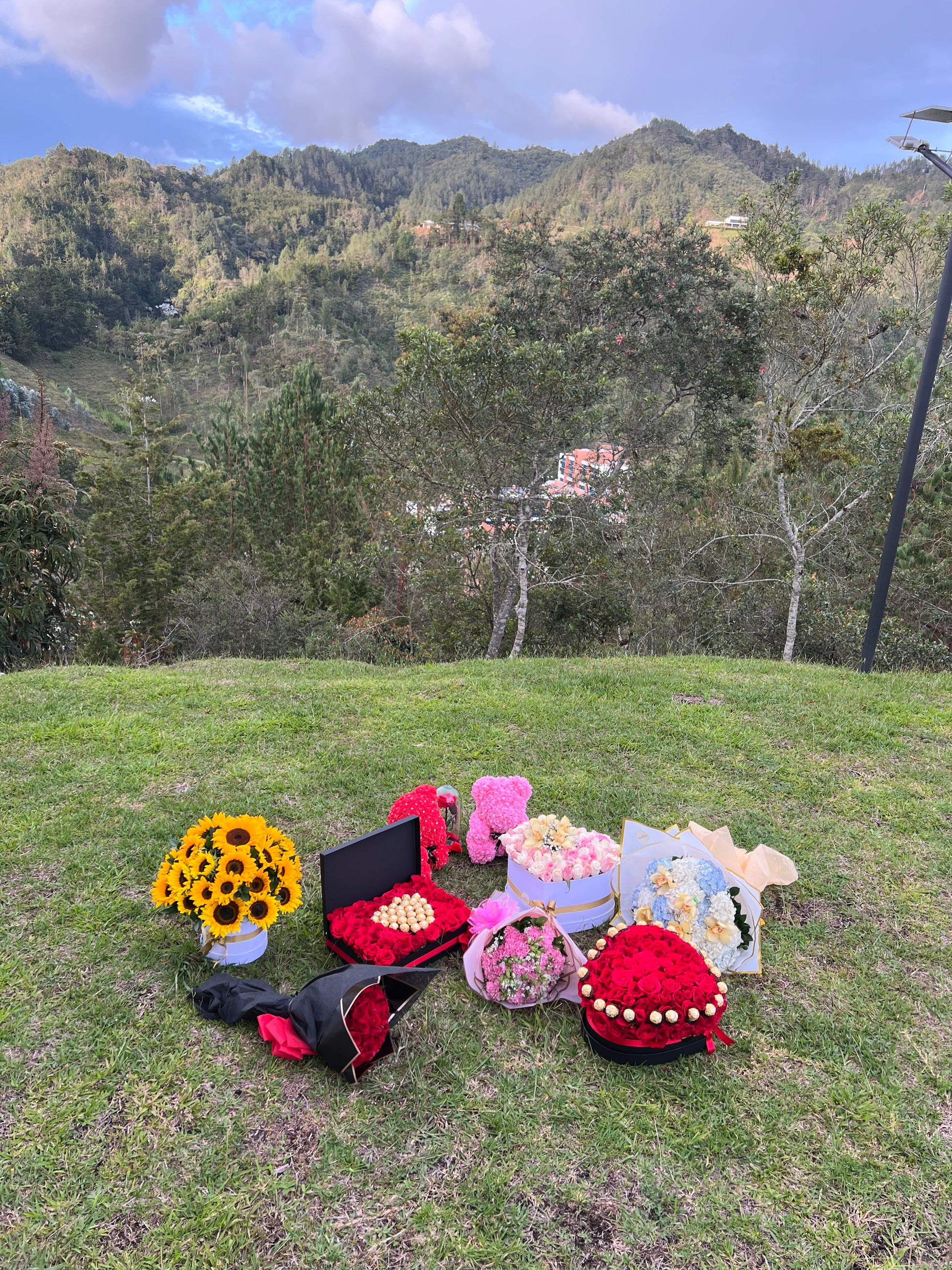 CILINDRO CON 20 GIRASOLES