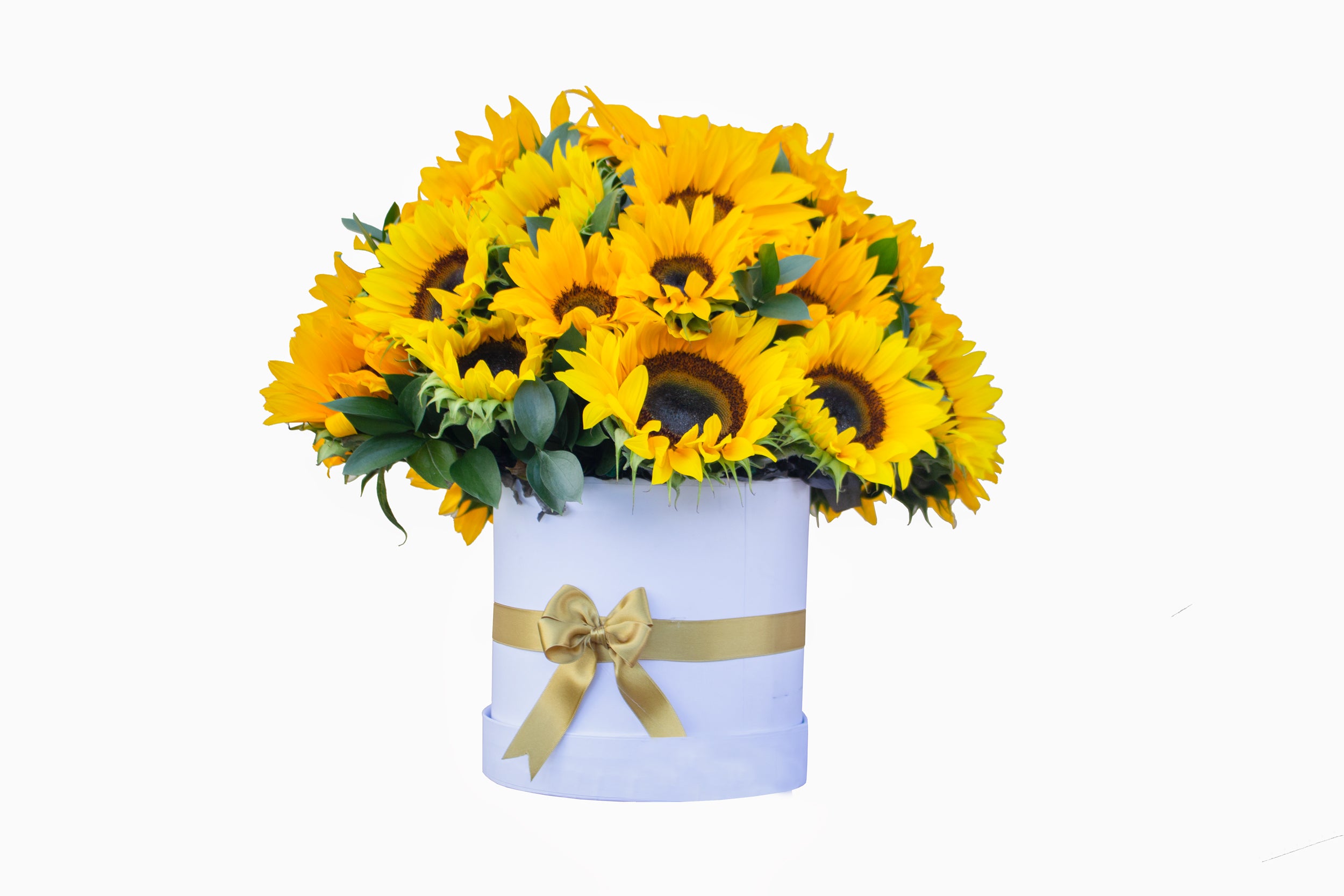 CILINDRO CON 20 GIRASOLES